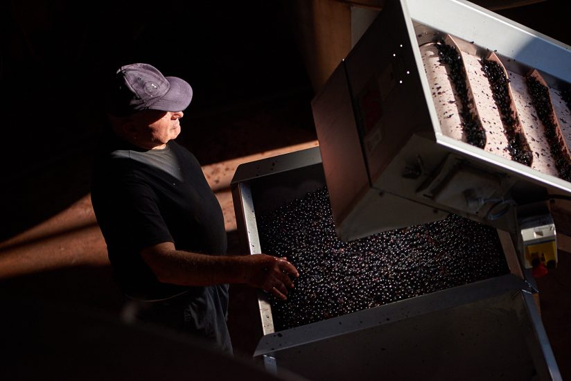 Le più belle foto in corsa per gli “Errazuriz Wine Photographer of the Year” 2020