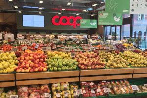 Diritti dei lavoratori e dei piccoli produttori: Coop si conferma leader tra i retailer italiani