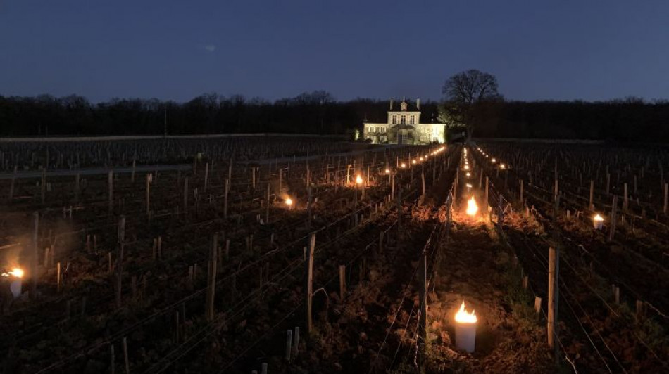 Le gelate tra i filari di Borgogna