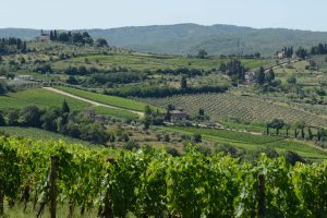 I numeri del Chianti Classico