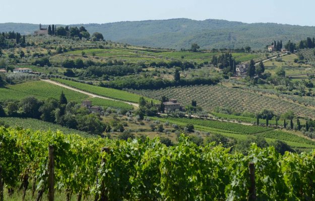 CASTELLARE DI CASTELLINA, FONTODI, ITALIA, LE POTAZZINE, TOP 100, TREDIBERRI, vino, VINOUS, Mondo