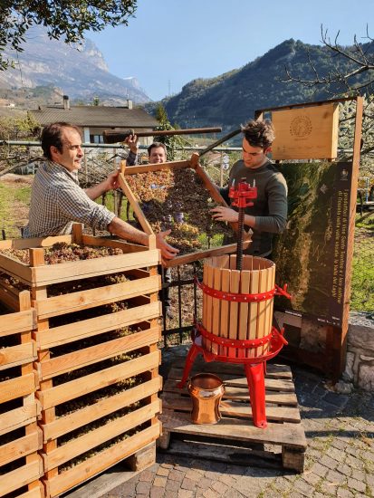 Il rito della spremitura del Vin Santo in Trentino