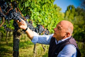 Venica & Venica, 90 anni da celebrare guardando ad una storia che sa di resistenza alle difficoltà Venica & Venica, 90 anni da celebrare guardando ad una storia che sa di resistenza alle difficoltà