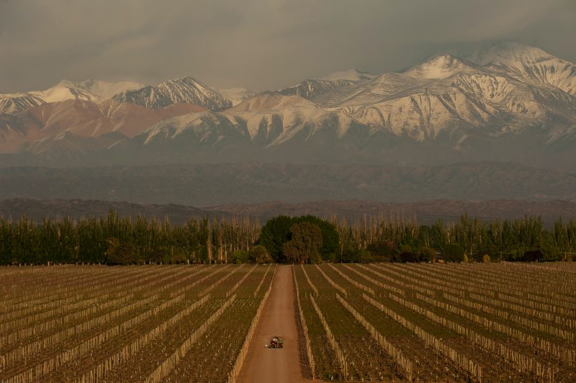 Le più belle foto in corsa per gli “Errazuriz Wine Photographer of the Year” 2020