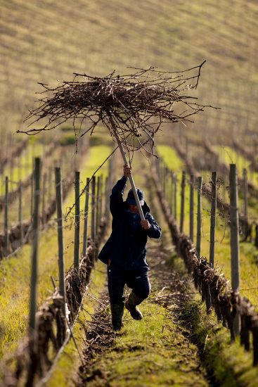Continua la corsa alla beneficenza del wine&food italiano per l’emergenza Coronavirus