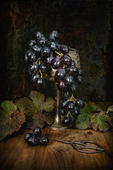 Le più belle foto in corsa per gli “Errazuriz Wine Photographer of the Year” 2020