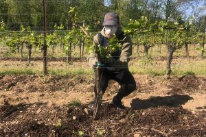 La ripartenza di Terra Moretti oltre i protocolli: test del sangue per tutti i dipendenti del Gruppo