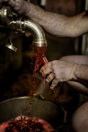 Le più belle foto in corsa per gli “Errazuriz Wine Photographer of the Year” 2020