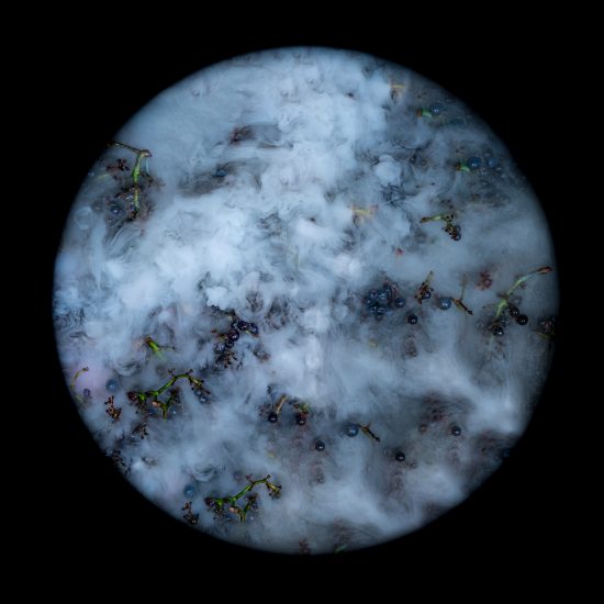 Le più belle foto in corsa per gli “Errazuriz Wine Photographer of the Year” 2020