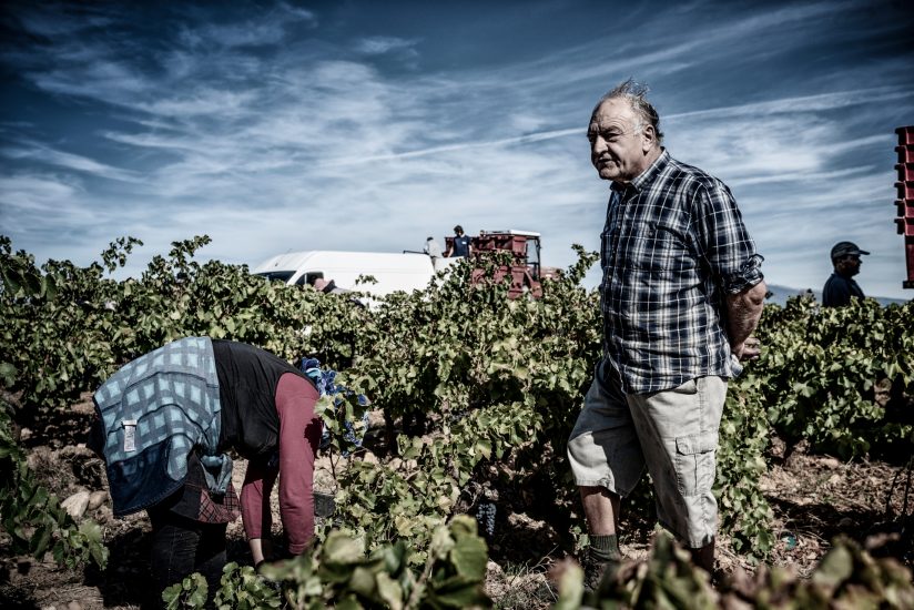Le più belle foto in corsa per gli “Errazuriz Wine Photographer of the Year” 2020