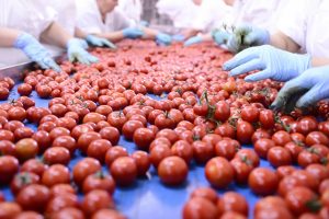 Aumentano i prezzi ma non quelli per gli agricoltori: &ldquo;si paga pi&ugrave; la bottiglia che il pomodoro&rdquo;