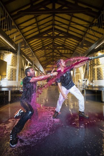 Le più belle foto in corsa per gli “Errazuriz Wine Photographer of the Year” 2020