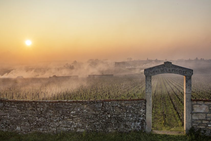 Le più belle foto in corsa per gli “Errazuriz Wine Photographer of the Year” 2020