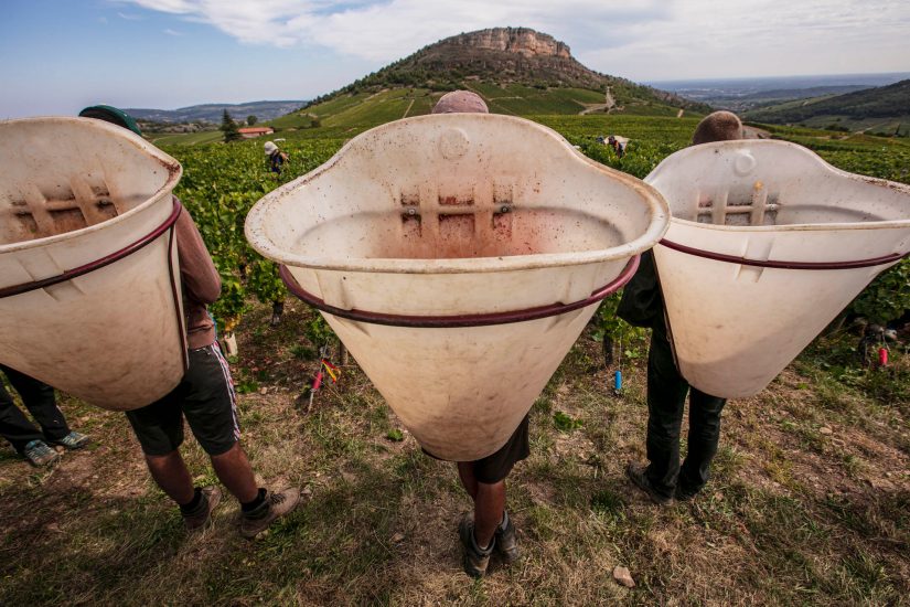 Le più belle foto in corsa per gli “Errazuriz Wine Photographer of the Year” 2020