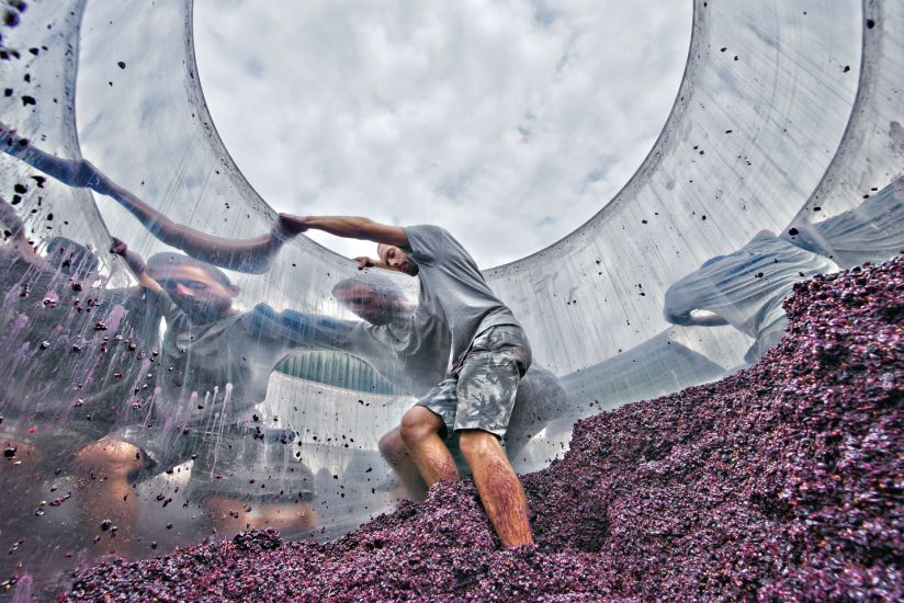 Le più belle foto in corsa per gli “Errazuriz Wine Photographer of the Year” 2020