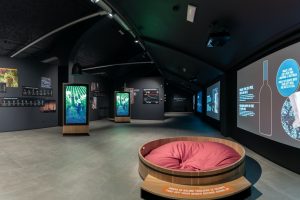 Tra multimedialità e tecnologia, la Wine Experience firmata Mondodelvino