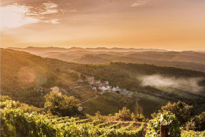 I Quaderni di WineNews - Il Chianti Classico