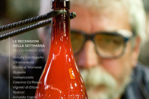 I Vini di WineNews - N. 100