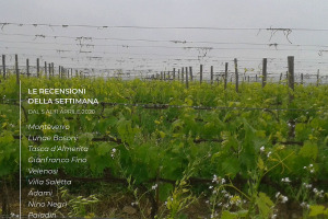 I Vini di WineNews - N. 96