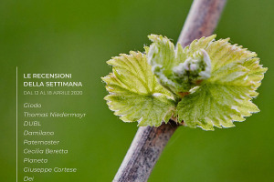 I Vini di WineNews - N. 97