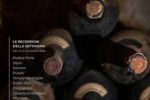 I Vini di WineNews - N. 98