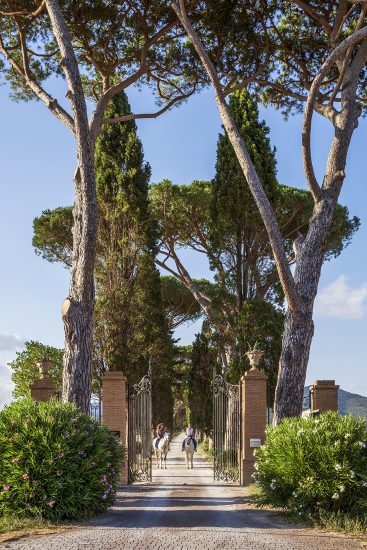 L’Andana, di Terra Moretti, in Maremma