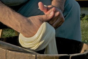 Dai &ldquo;caciobond&rdquo; al rosmarino usato per i gel: la creativit&agrave; dell&rsquo;agricoltura per la ripartenza