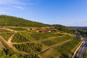 Vitae 2021, Antinori at the top with 8 “Quattro Viti” labels, in front of Lunelli family (at 5)