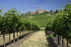 Un brand di nome Brunello, storia e qualità della vita: Montalcino vuol vincere la sfida del turismo