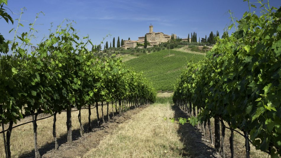 Castello Banfi, tra i vigneti del Brunello di Montalcino