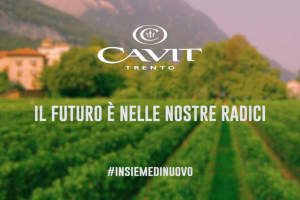 “Torneremo ad alzare i calici”: il messaggio di Cavit sulle reti nazionali