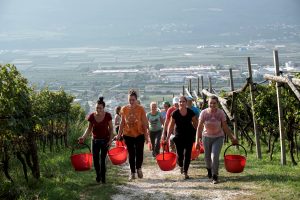 Hofstätter: un jet privato per portare in Italia le lavoratrici stagionali dalla Romania