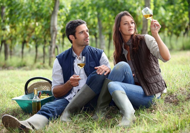 Anche con la digitale “On-Wine Fair” (24-28 maggio) voglia di vino ed enoturismo, voglia di tornare a viaggiare nei territori