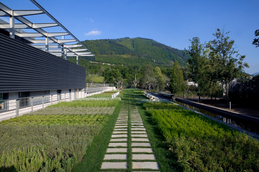 Feudi di San Gregorio