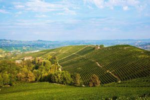 In viaggio con WineNews nella storica tenuta di Fontanafredda, tra le più belle realtà del Barolo In viaggio con WineNews nella storica tenuta di Fontanafredda, tra le più belle realtà del Barolo