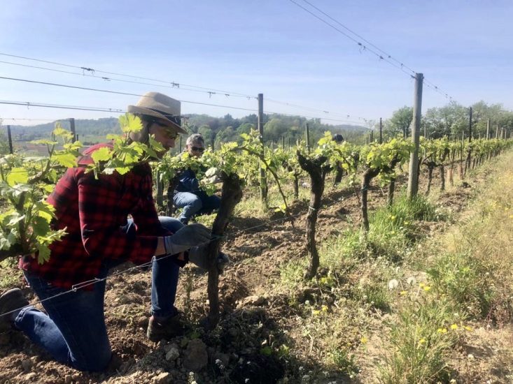 Il commento di Coldiretti allo studio Mediobanca