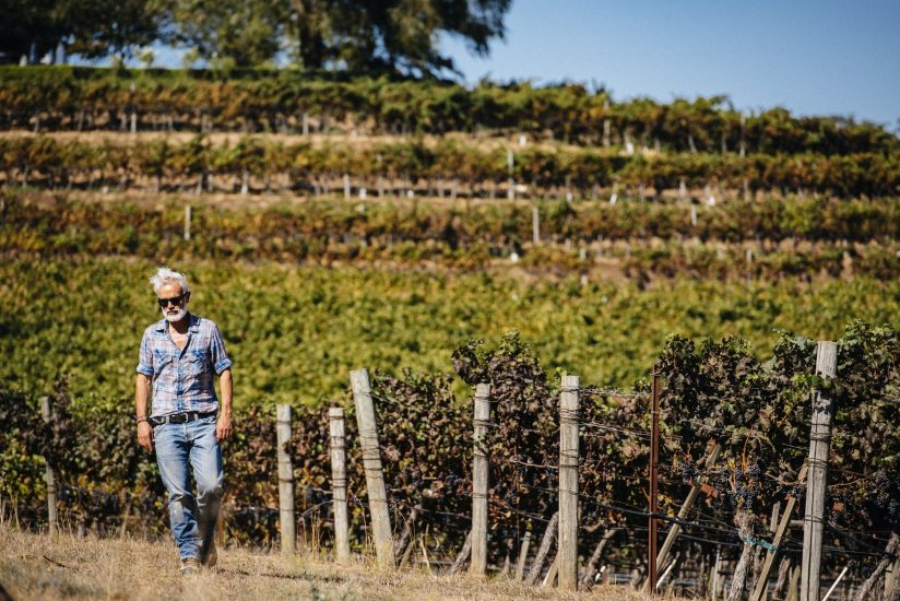 Marco Simonit in vigna