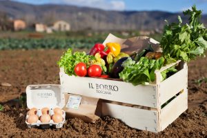 Sostenibilit&agrave; e prodotti autoctoni: il futuro de &ldquo;Il Borro&rdquo;, tenuta di Ferruccio Ferragamo