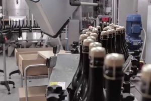 L’Italia che non si ferma: 2 milioni di ettolitri di vino certificati in due mesi, Prosecco leader