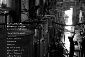 I Vini di WineNews - N. 102