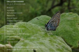 I Vini di WineNews - N. 103