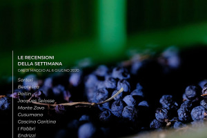 I Vini di WineNews - N. 104