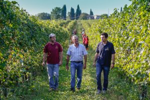 La solidarietà parte dai vigneti e “si muove in bus”. Le Morette assume autisti rimasti senza lavoro