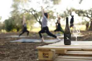 Il wine&food al livello successivo: con vino e cibo, da Argiolas si abbina anche il fitness