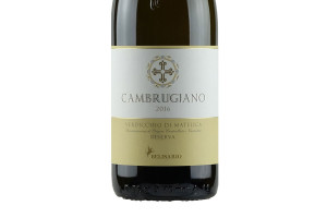 Belisario, Docg Verdicchio di Matelica Cambrugiano Riserva 2016