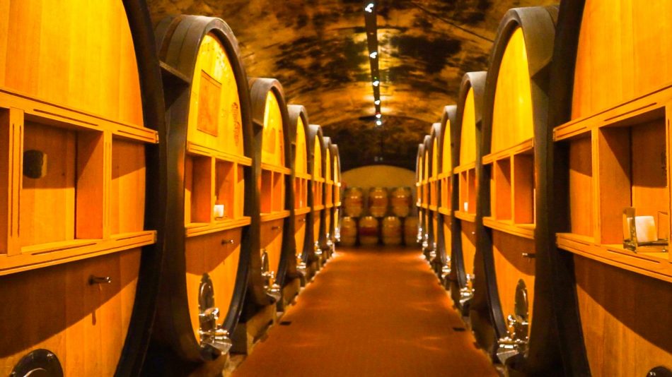 La bottaia della Cantina di Terlano