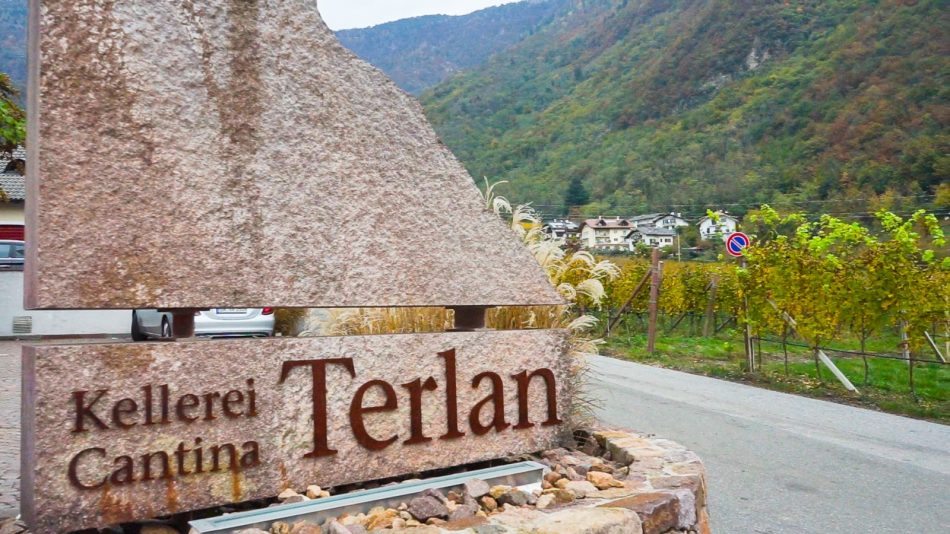 La cantina di Terlano, perla dell’Alto Adige