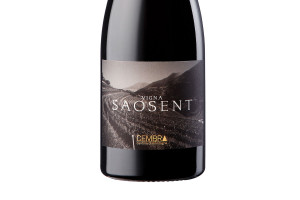 Cembra, Doc Trentino Pinot Nero Vigna Saosent 2016