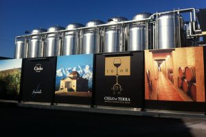 Sostenibilità e responsabilità sociale nel mondo del vino: Cielo e Terra diventa “BCorp”