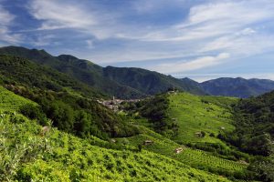 Il Prosecco Superiore come risposta al bisogno di armonia
